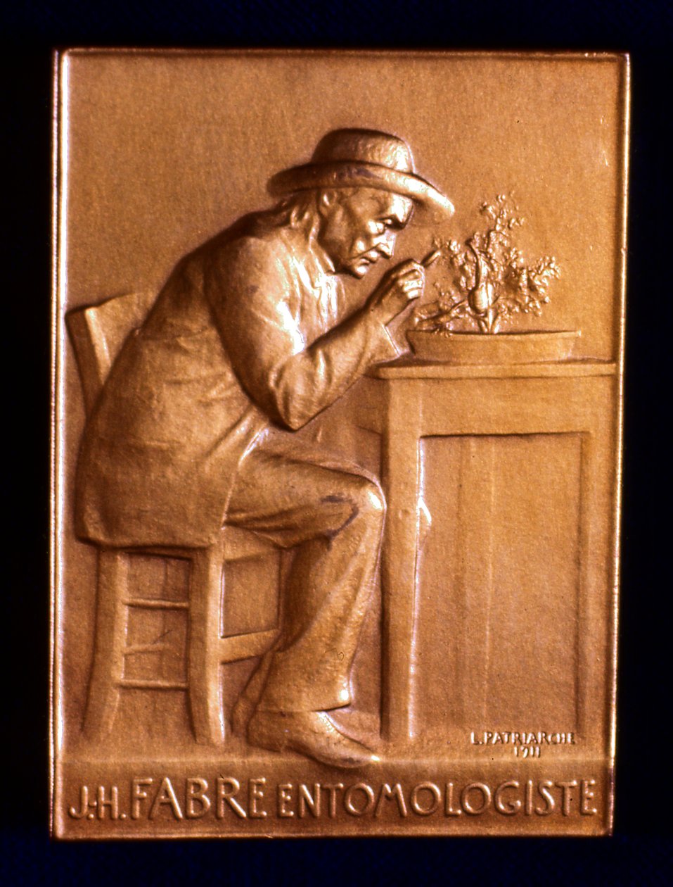 Jean Henri Fabre, francouzský entomolog, 1911 od L. Patriarche