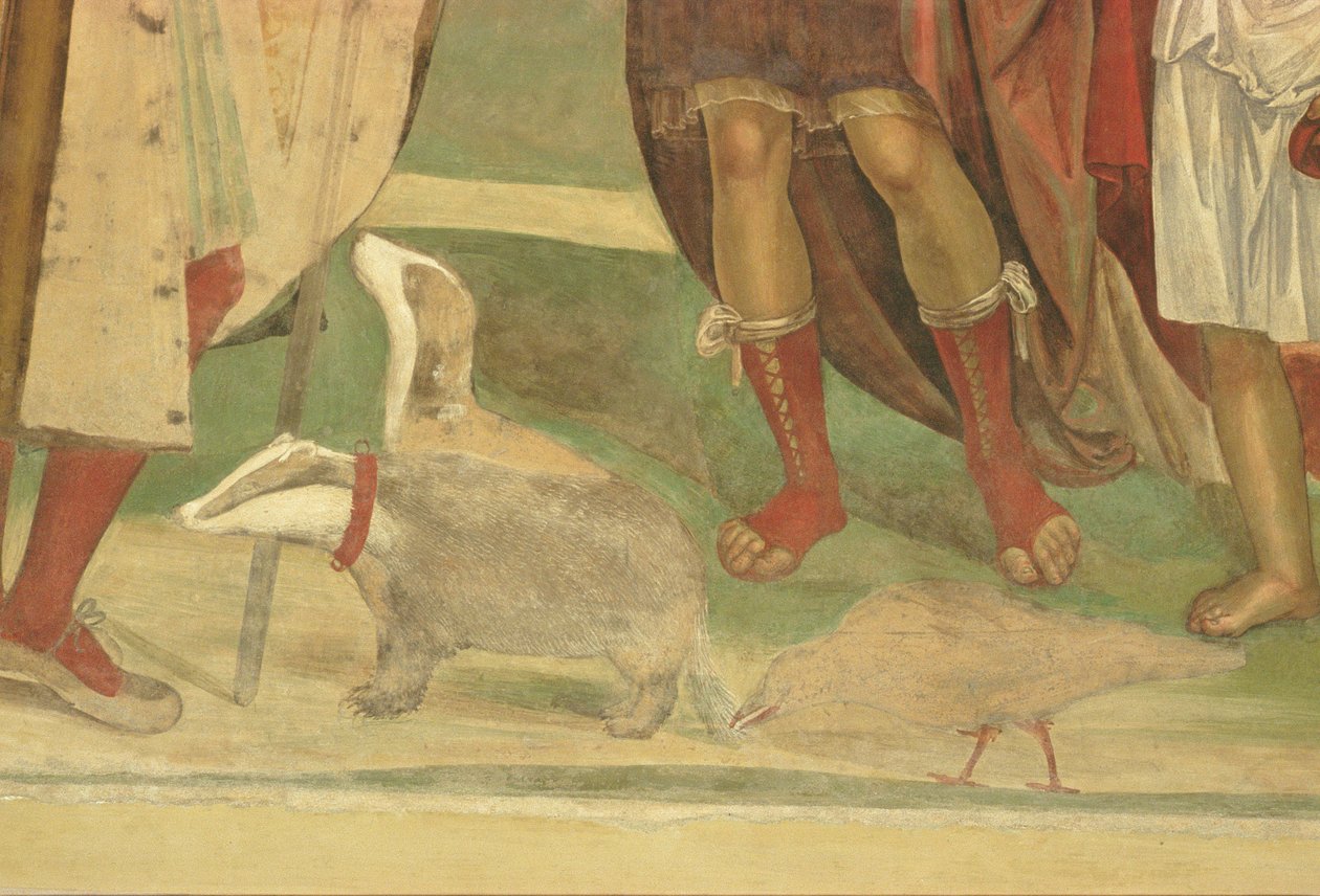 Život svatého Benedikta (detail) od L. and Sodoma, G. Signorelli