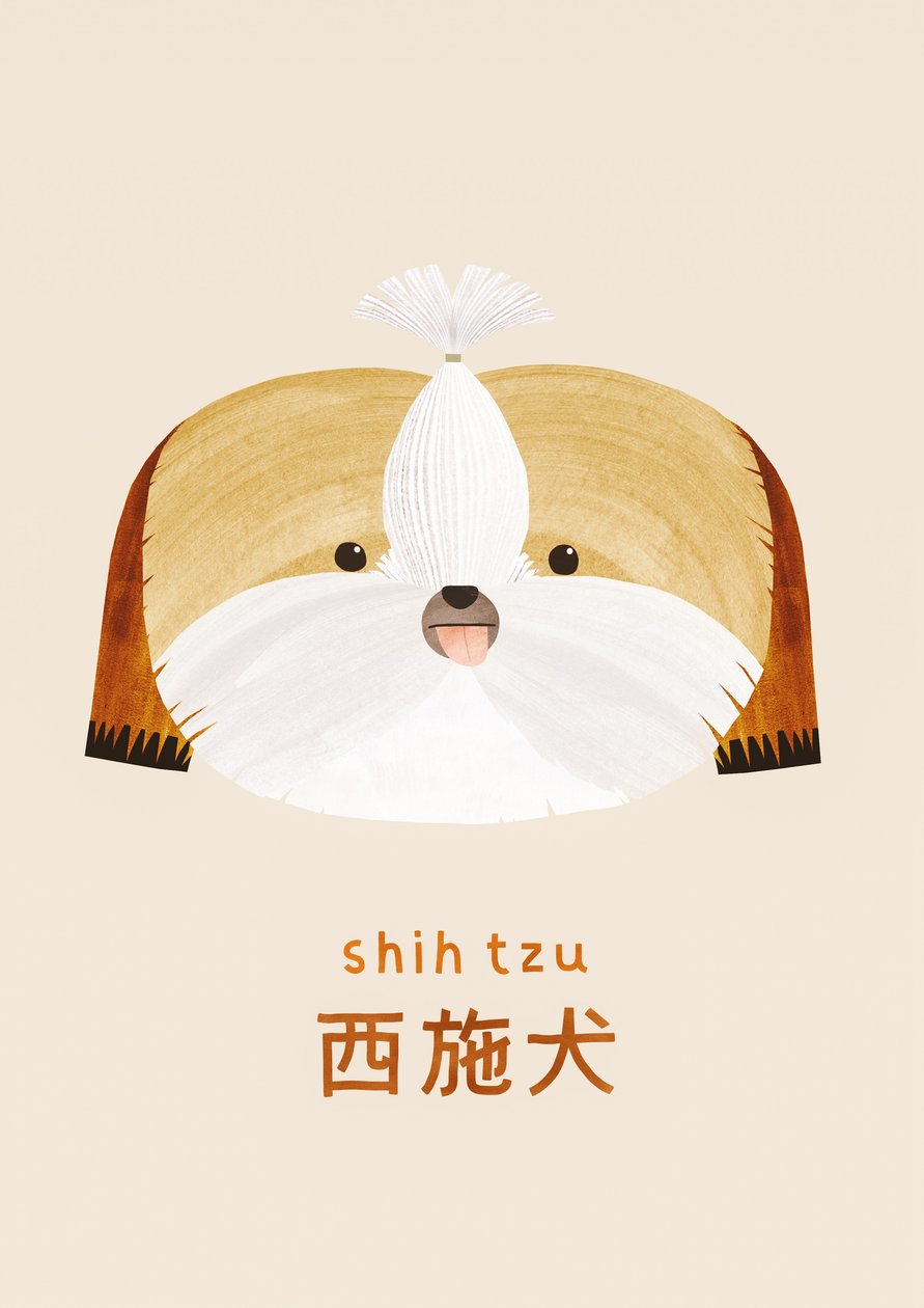 Shih tzu, 2019 od Léa Le Pivert