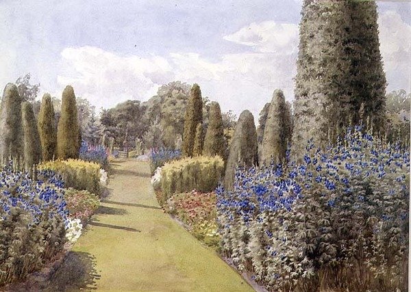 Herbaceous Border (akvarel na papíře) od Lady Alice Willoughby