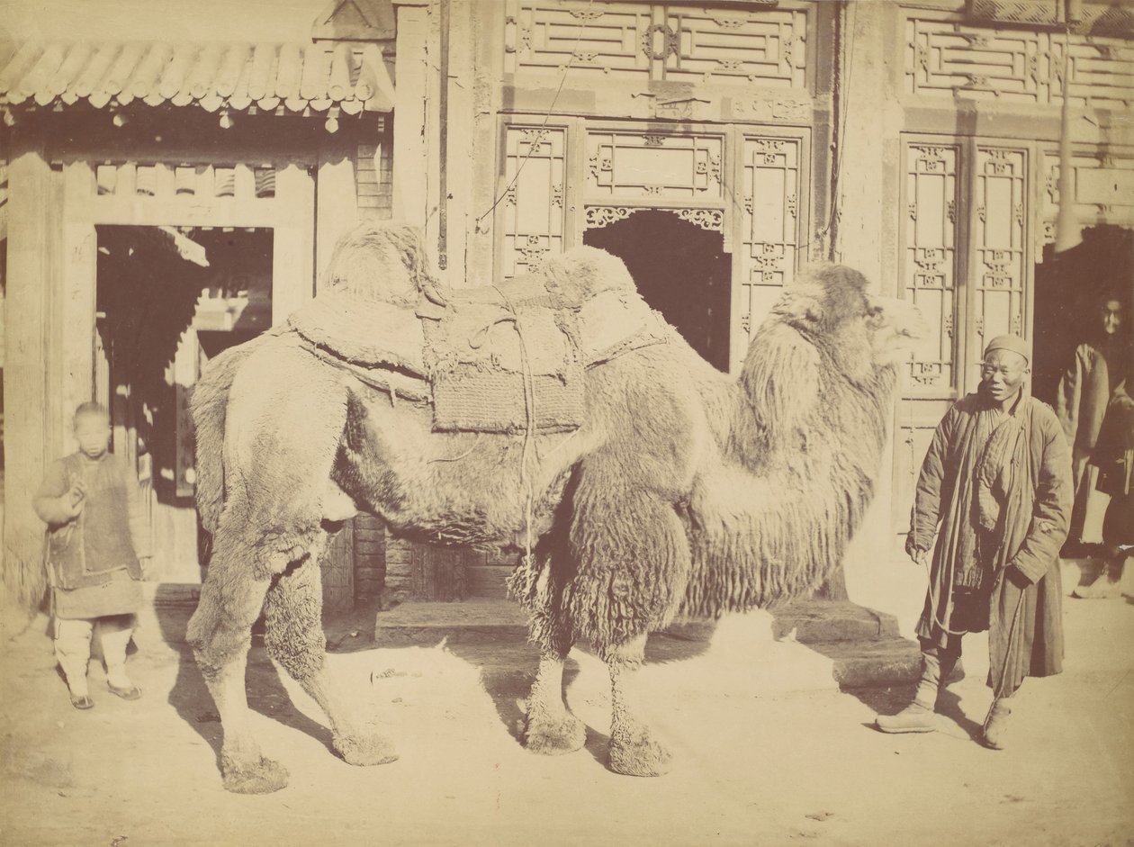 Peking. z. 923, 1867. od Lai Fong.