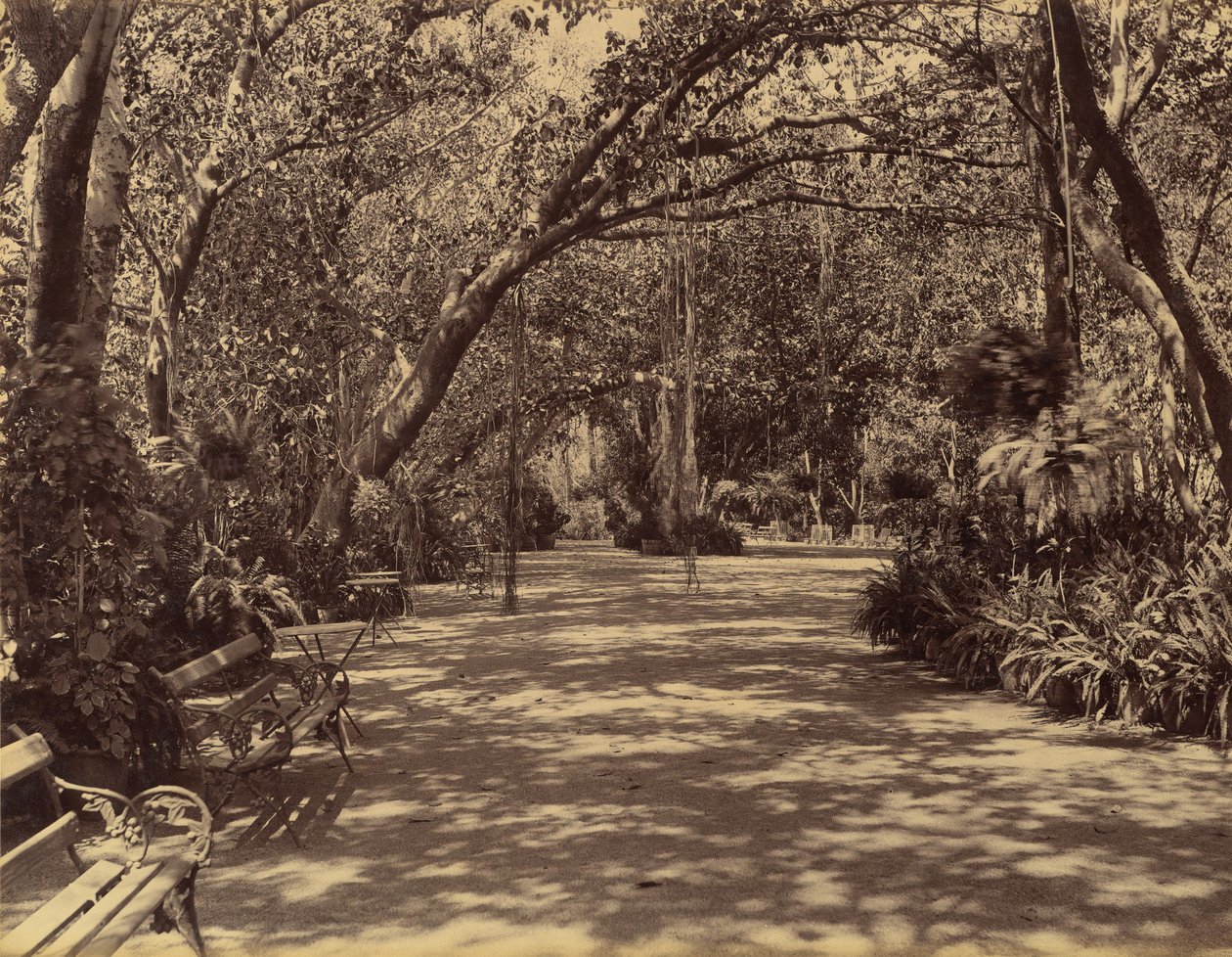 Zahrada paláce Sukh-Vilas, 1880-90. od Lala Deen Dayal