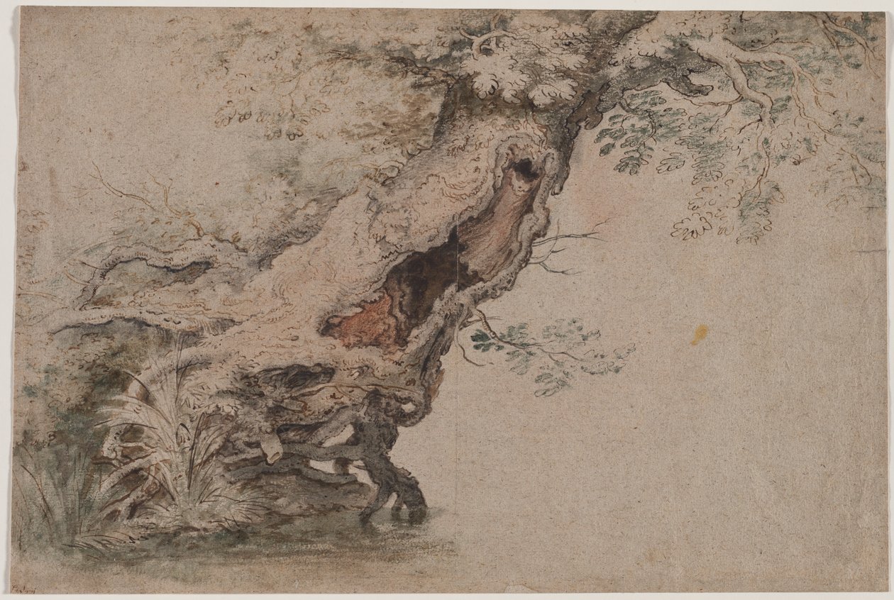 Hollow Tree, po Roelant Savery od Lambert Doomer