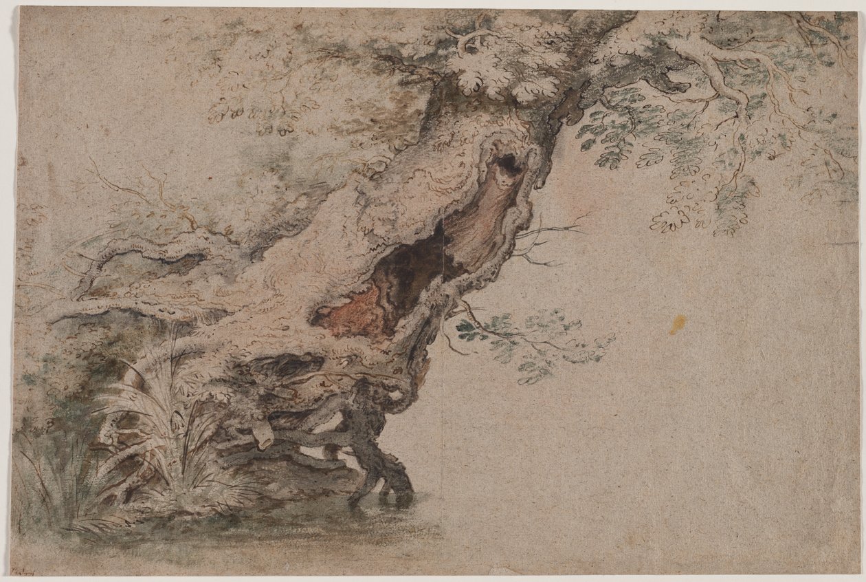 Hollow Tree, po Roelant Savery, po roce 1670. od Lambert Doomer