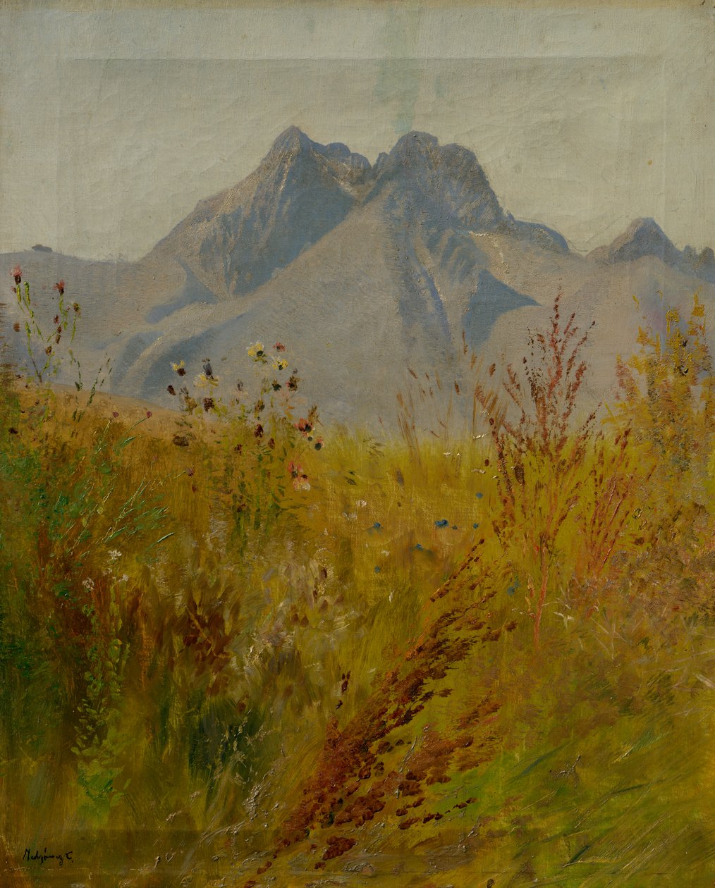 Lomnický Peak od Laszlo Mednyanszky