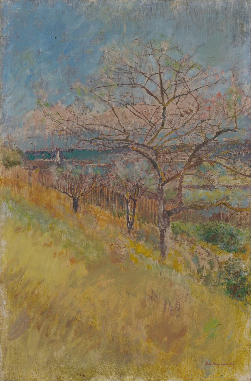 Údolí s kvetoucími stromy, 1890-1900 od Laszlo Mednyanszky