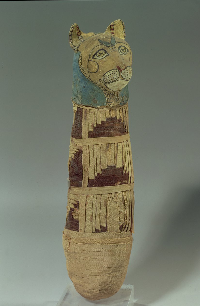 Mumifikovaná kočka (štukované a malované prádlo) od Late Period Egyptian