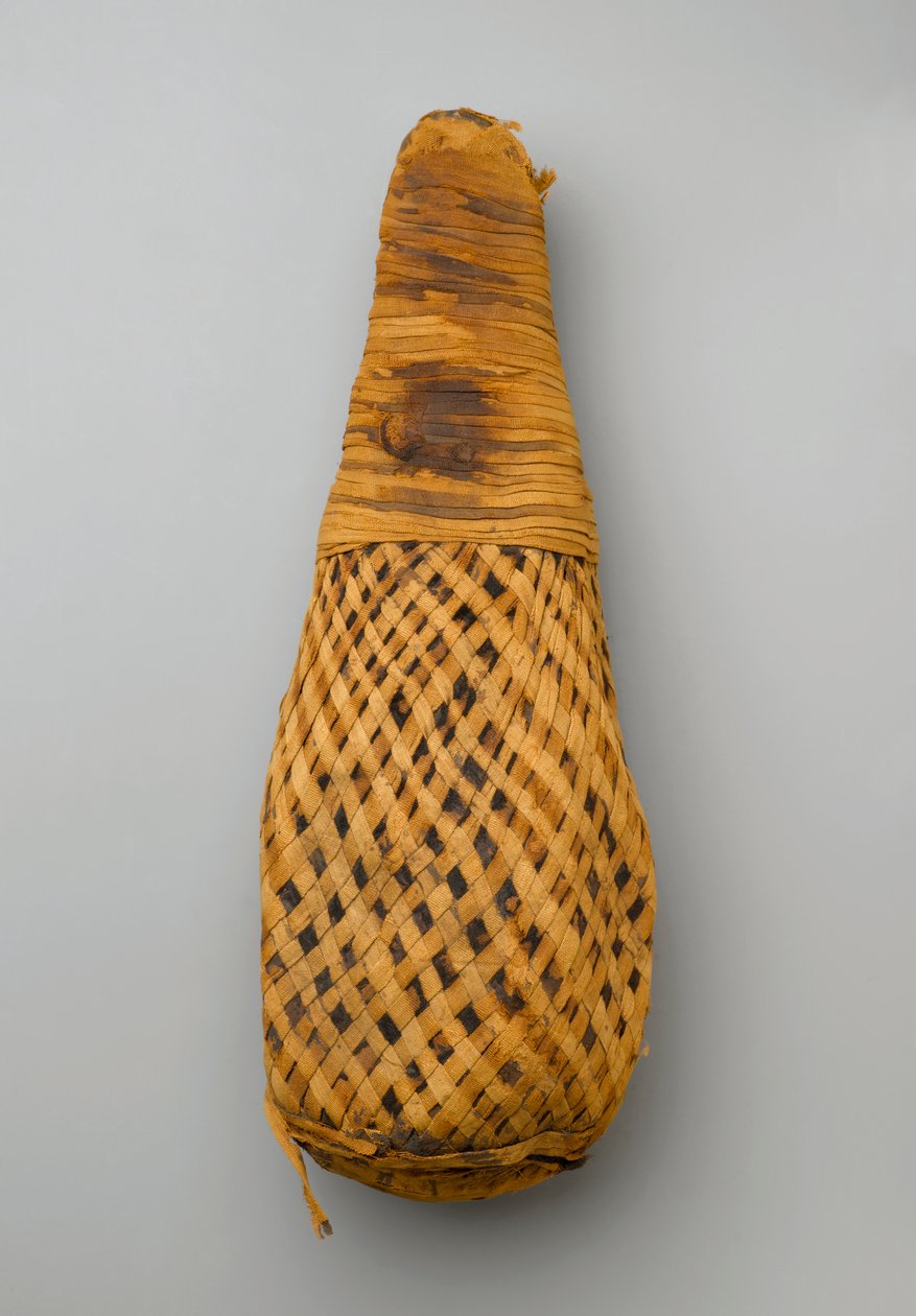 Mumie ibise, 664-332 př.nl (pozůstatky zvířat a prádlo) od Late Period Egyptian
