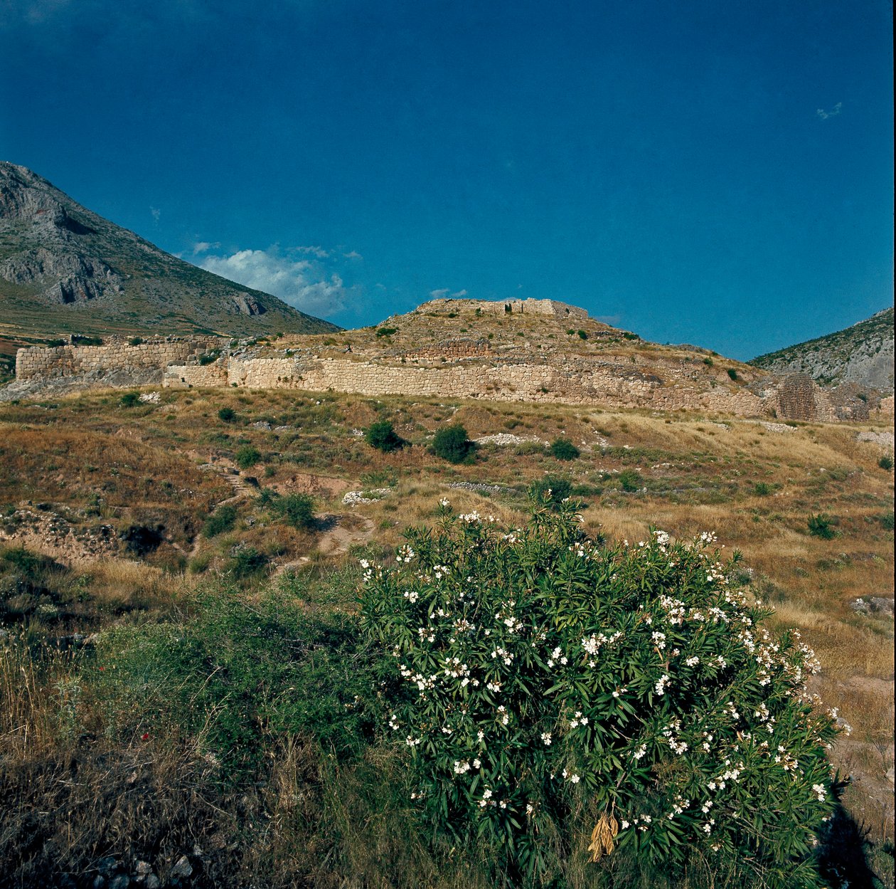 Pohled na místo starověkého města Mycenes, na Peloponésu (1500-1100 př.nl) Řecko od Late Helladic Period Mycenaean