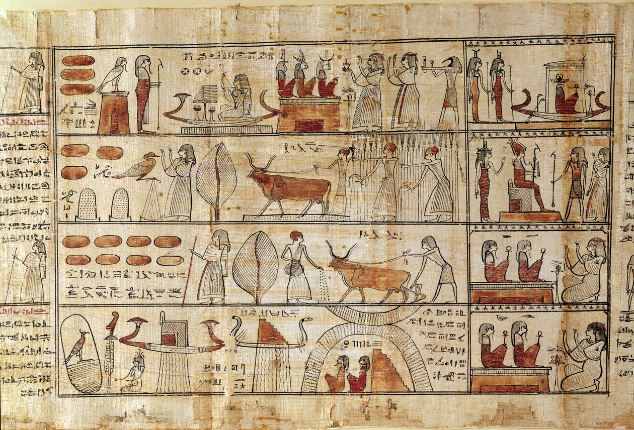 Zemědělské scény, detail z Knihy mrtvých Tsekhons (papyrus) od Late Period Egyptian