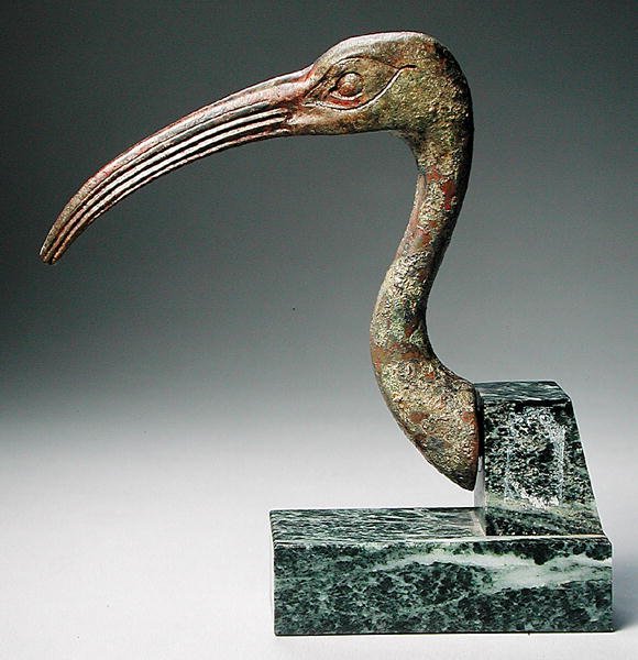 Hlava ibise (masivní litý bronz) od Late Period Egyptian