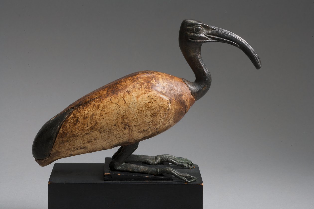 Ibis (bronz a dřevo) od Late Period Egyptian