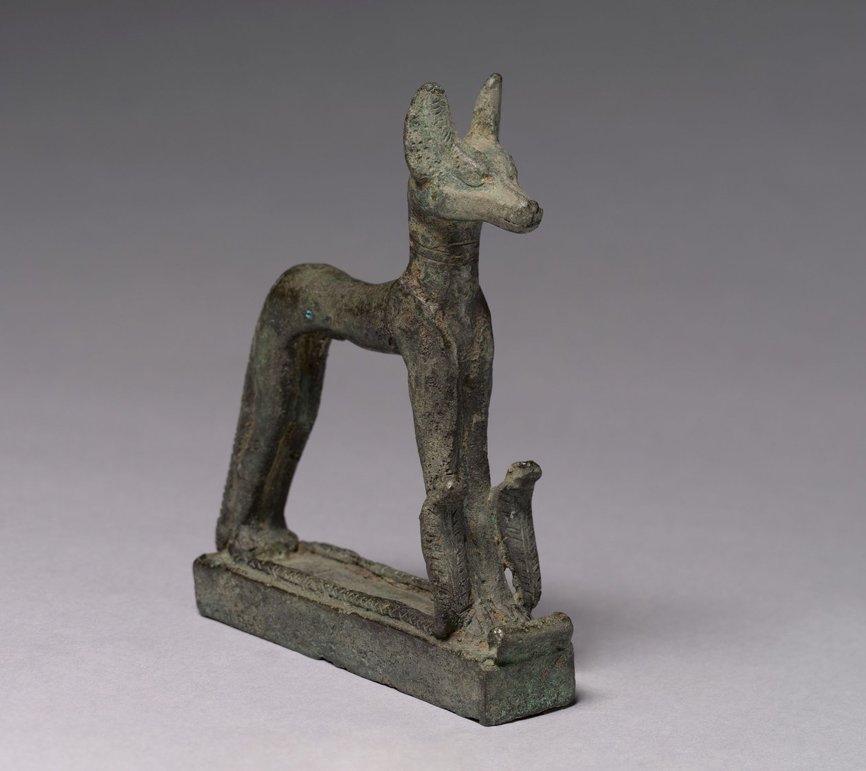Šakal, 664-30 před naším letopočtem od Late Period Egyptian