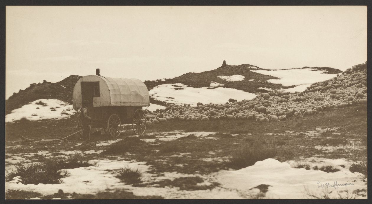 [Drifter, Sheep Wagon and Band on Winter Bedground] od Laton Alton Huffman