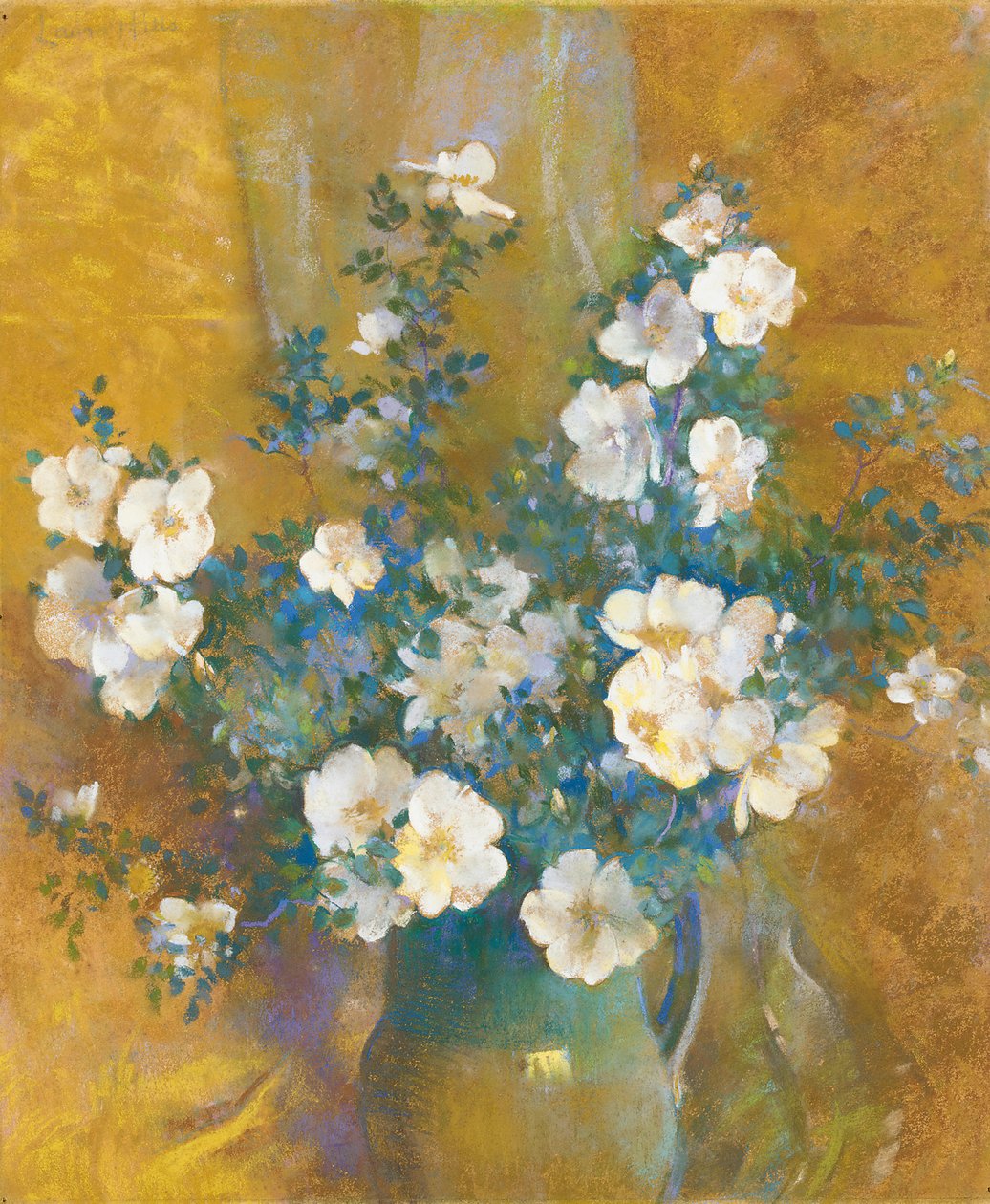 Bílé růže (pastel na palubě) od Laura Coombs Hills