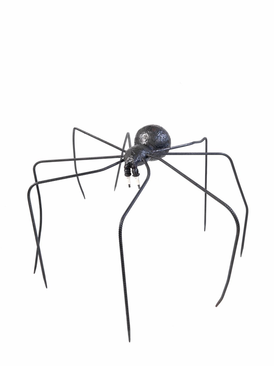The Black Spider, 2005 (ocel) od Lawrie Simonson