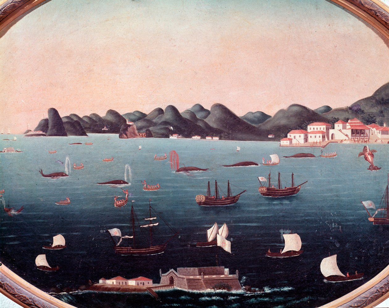 Lov velryb v zálivu Guanabara v Brazílii Akvarel od Leandra Joaquima (1738-1798) Rio de Janeiro 18. století, Národní historické muzeum od Leandro Joachim