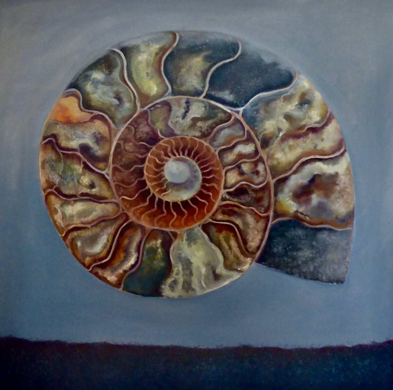 Ammonite, 2020 od Lee Campbell