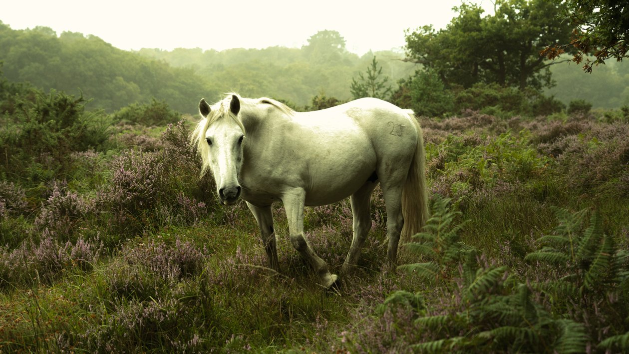 V záři, 2023 (foto) od Lee Cooper