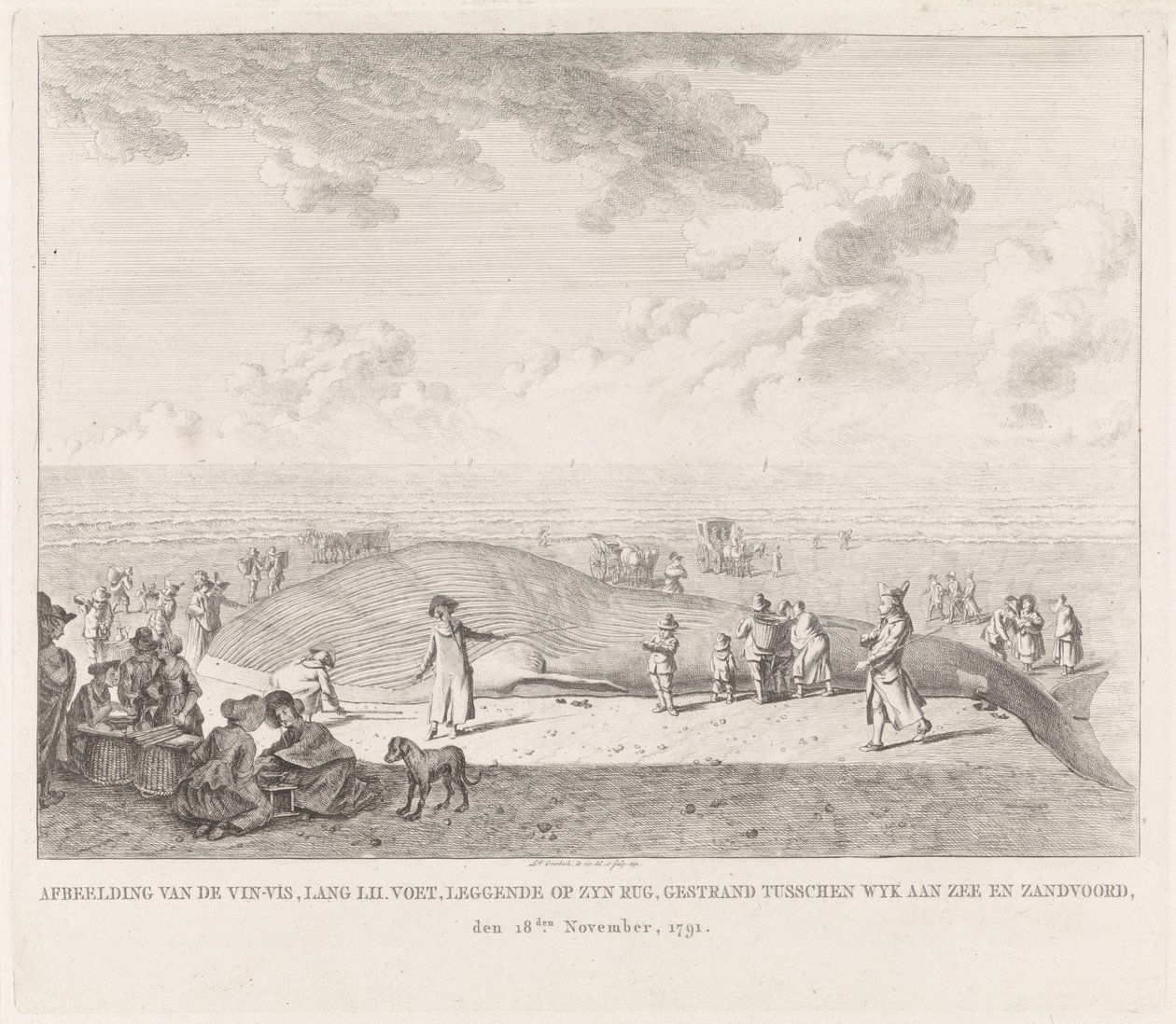 Plejtvák vyplavený na pláži v Zandvoortu Obrázek Vin-Vis (...) uvízl mezi Wyk aan Zee a Zandvoordem, 18. listopadu 1791 (název na objektu) od Leendert Overbeek