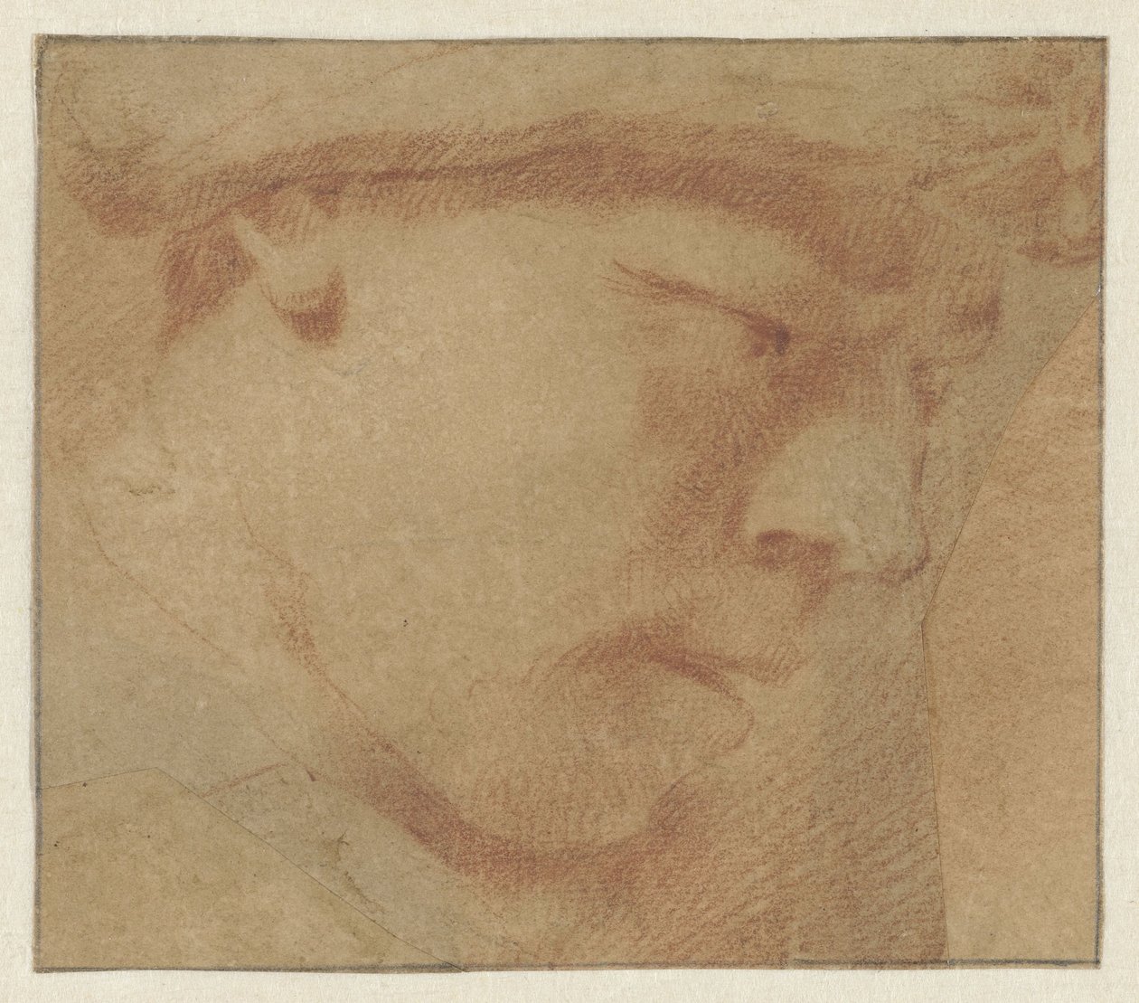 Hlava chlapce, vpravo od Leendert van der Cooghen (manner of)