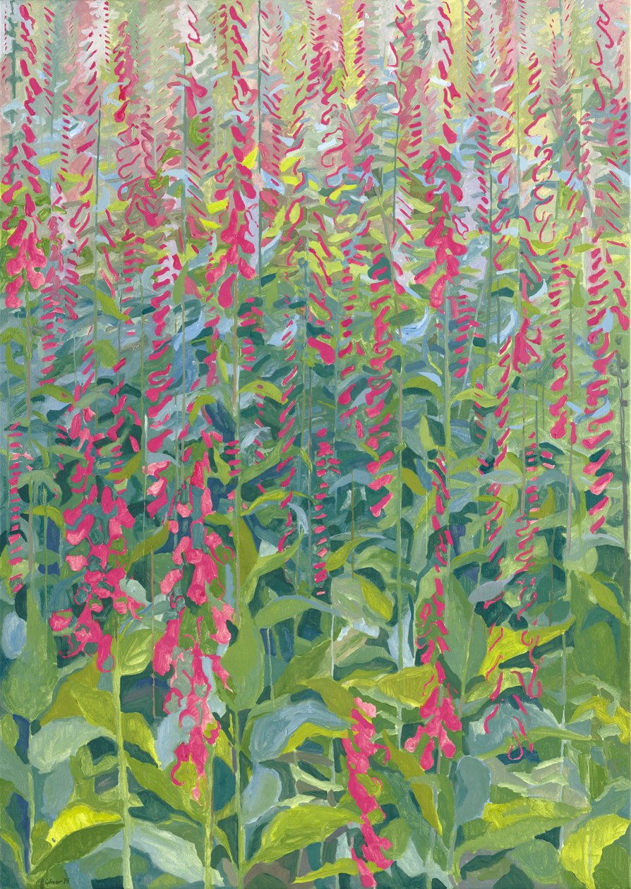 Náprstníky, 2014 od Leigh Glover