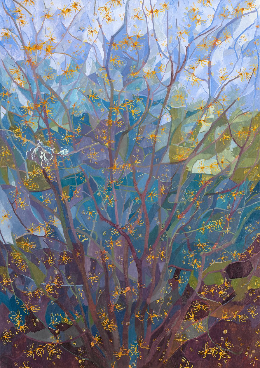 Vilín v květu, 2015 od Leigh Glover