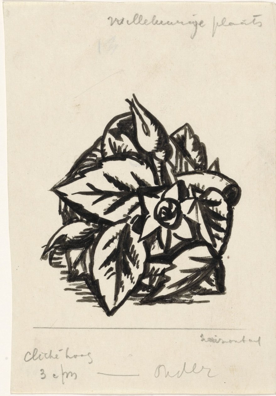 Květiny od Leo Gestel
