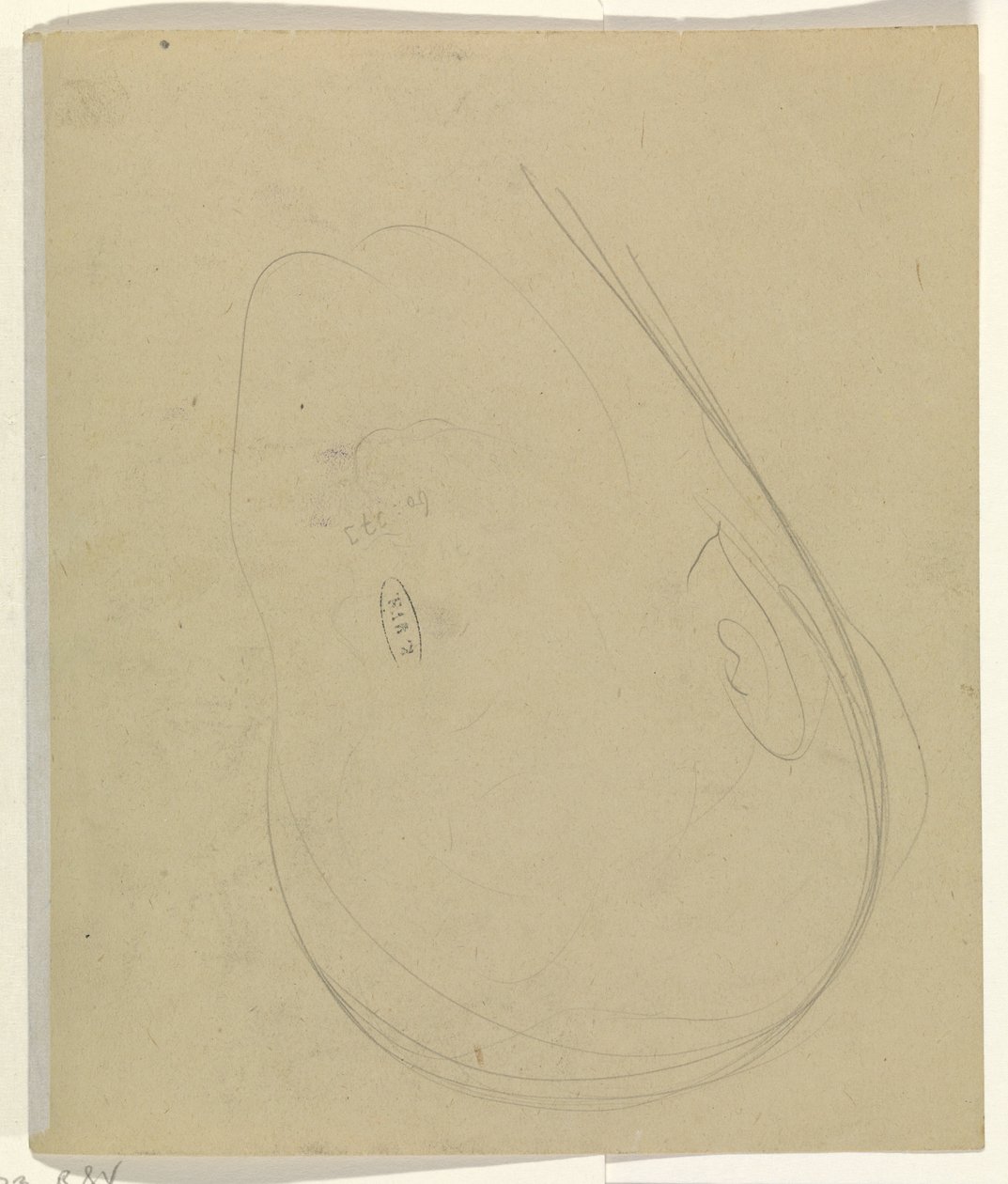 Kontury hlavy od Leo Gestel