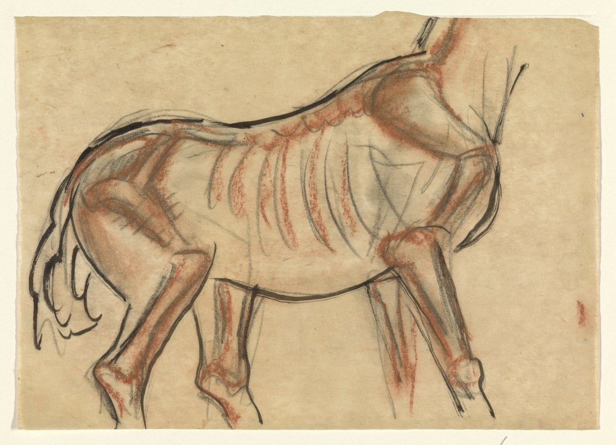 Kostra koně od Leo Gestel