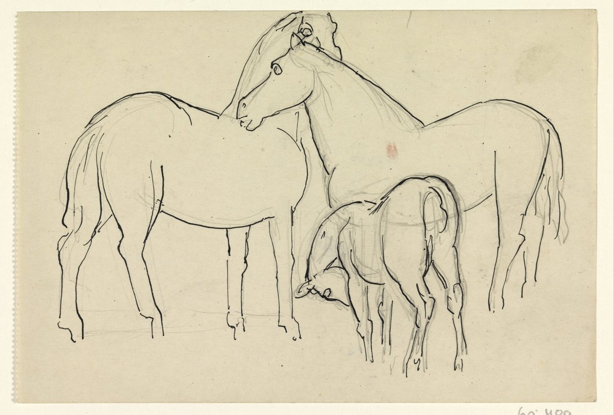 Dva koně a hříbě od Leo Gestel