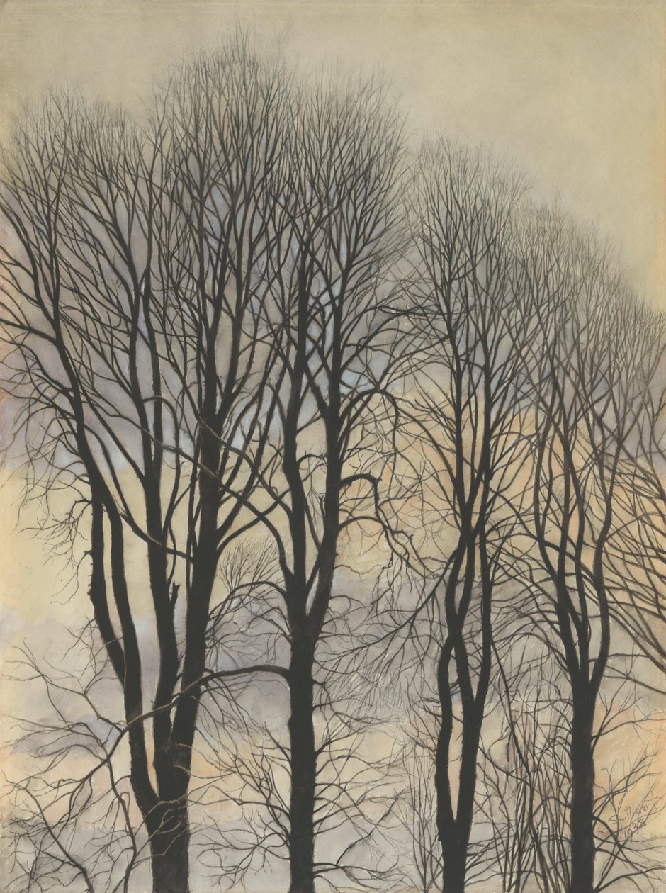 Strom na obloze od Leon Spilliaert