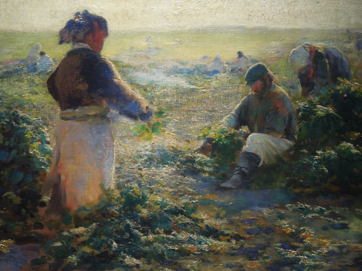 Kopání řepy I od Leon Wyczółkowski