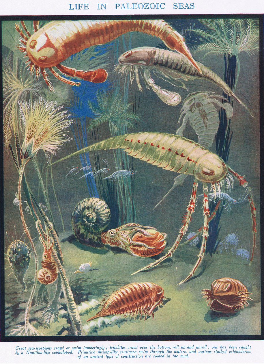 Život v prvohorních mořích, ilustrace z knihy "Věda o životě od Leonard Robert Brightwell