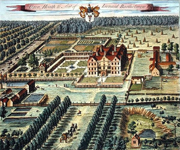 Oxen Heath vyrytý Johannesem Kipem (asi 1652-1722) (rytina) od Leonard (after) Knyff
