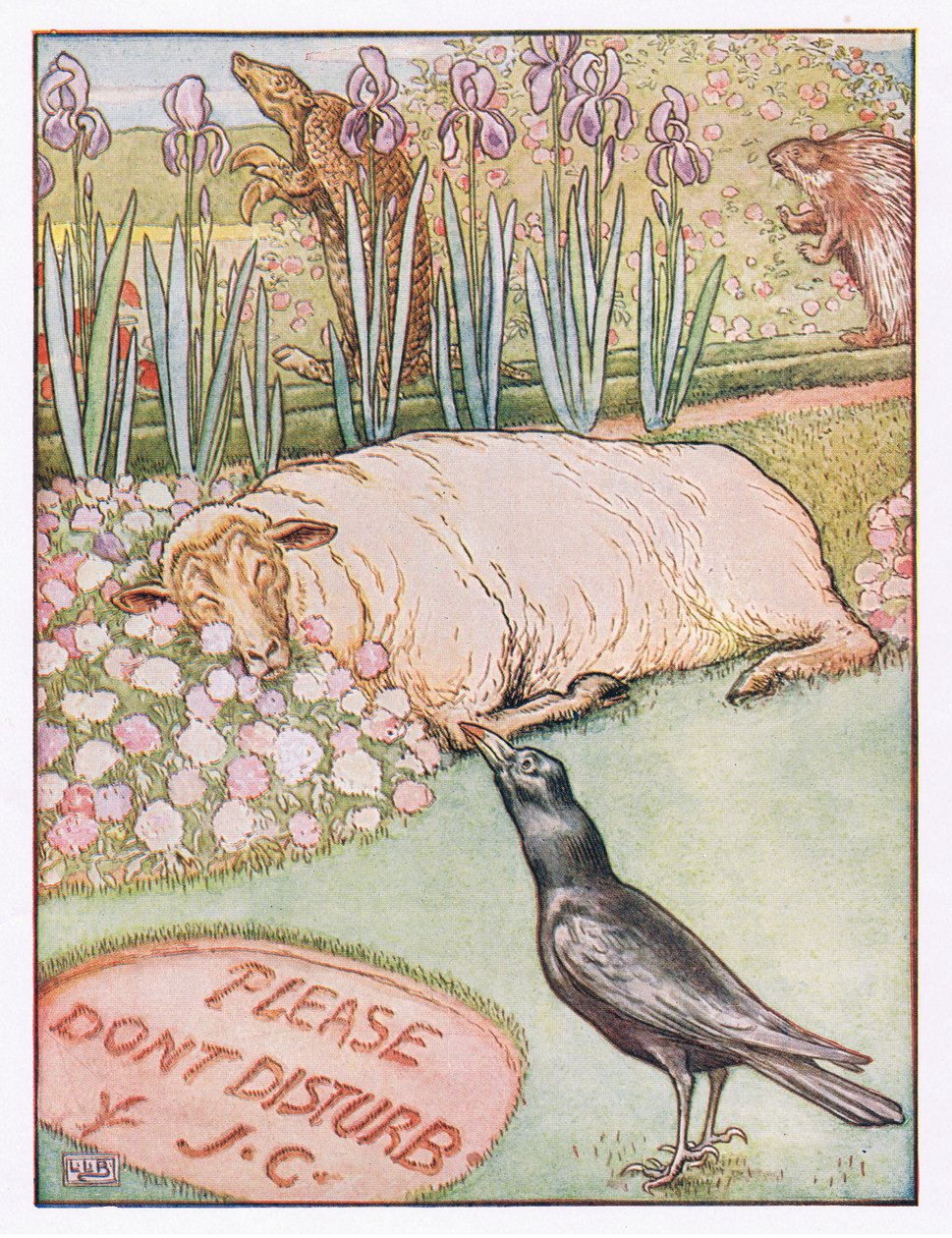 A ovce šly spát, ilustrace z 