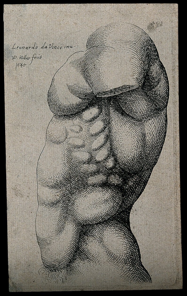 Mužský trup bez paže od Leonardo da Vinci