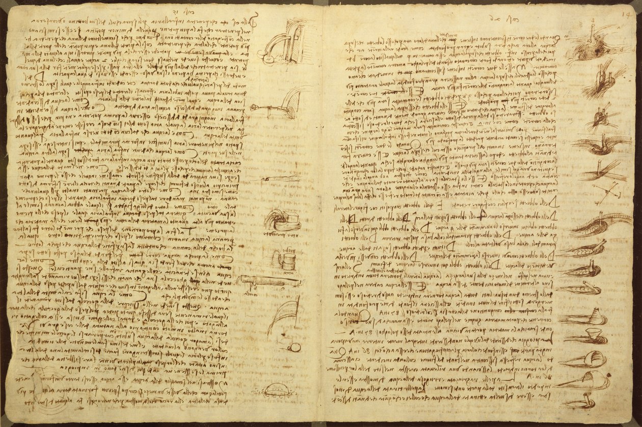 Stránka z Codexu Leicester, 1508-12 (sépiový inkoust na lněném papíře) od Leonardo da Vinci