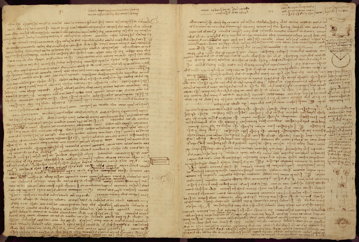 Stránka z Codexu Leicester, 1508-12 (sépiový inkoust na lněném papíře) od Leonardo da Vinci