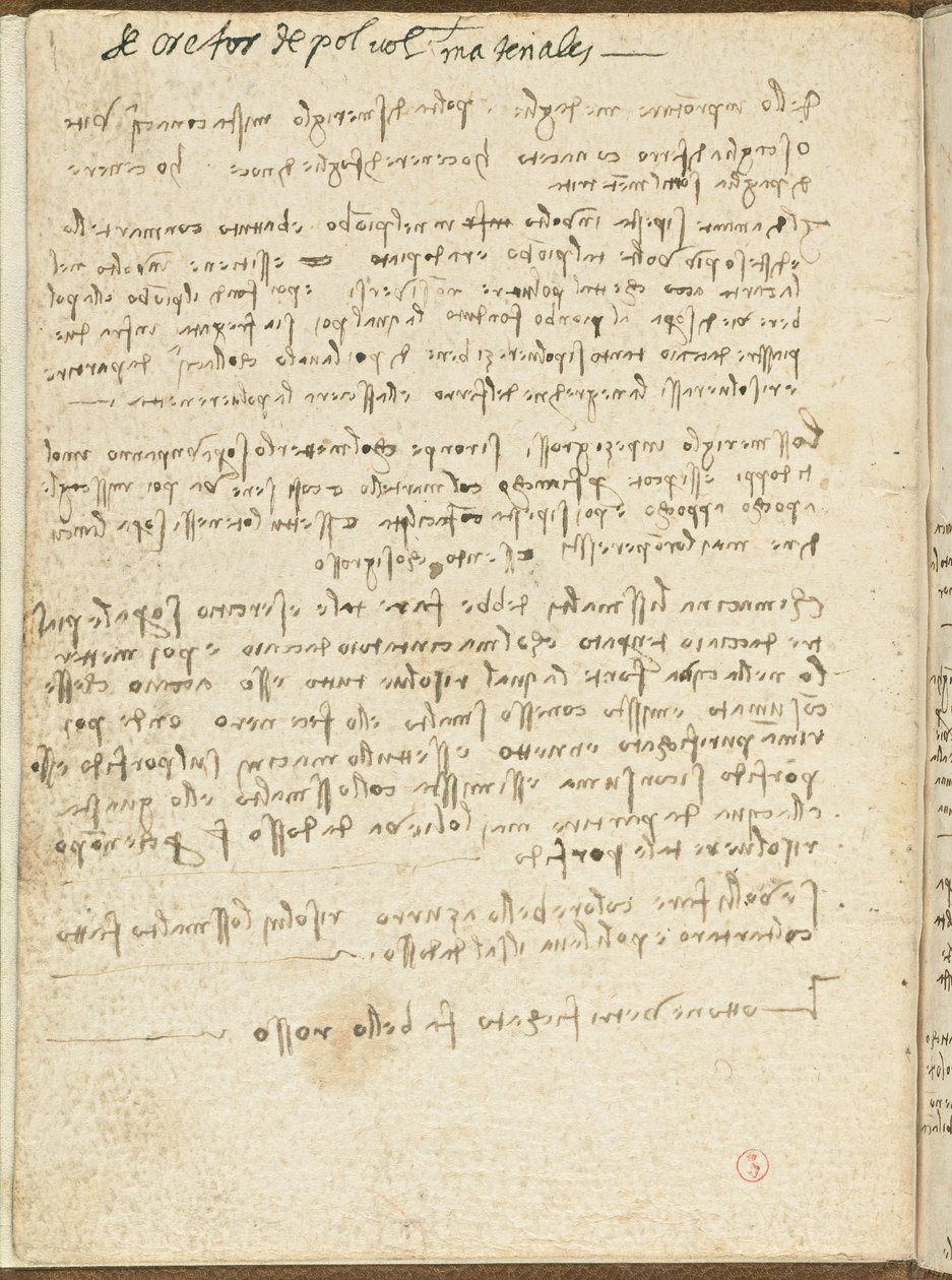 Letový kód ptáků, c. 1505-06, papírový rukopis, cc. 18, Obálka II od Leonardo da Vinci