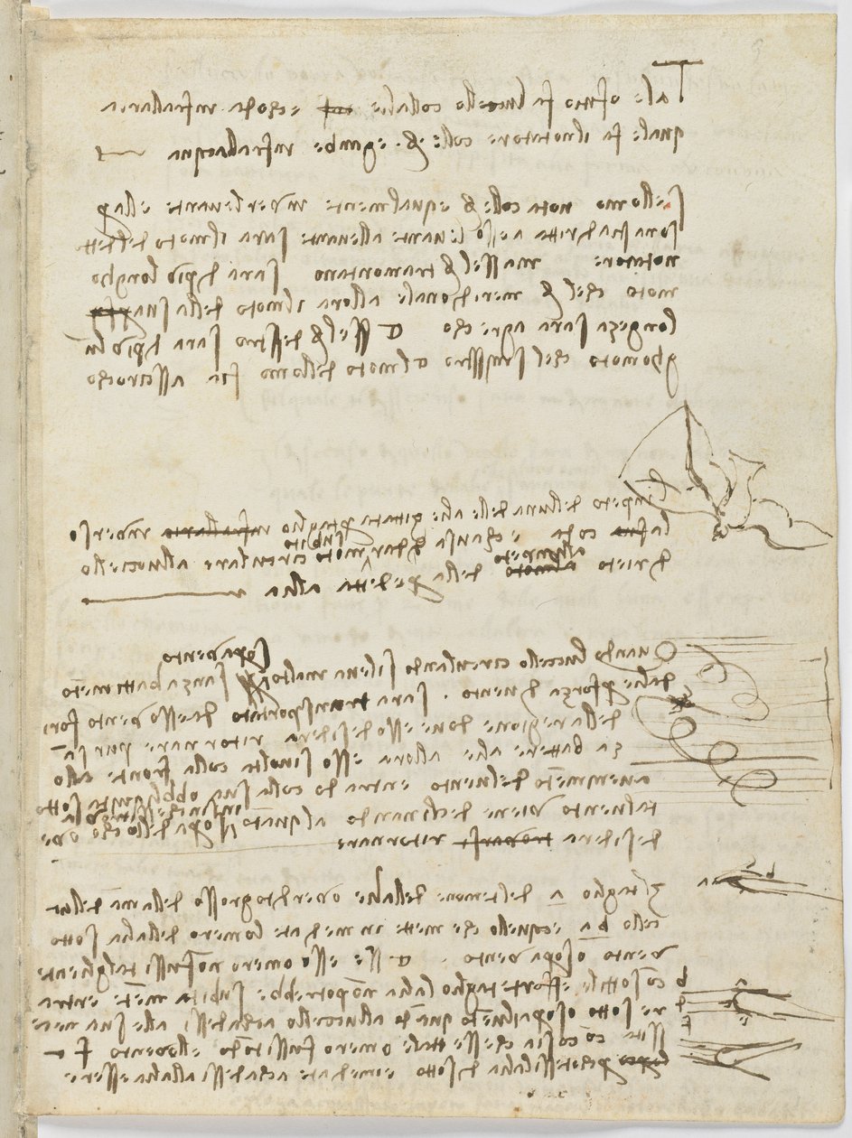 Letový kód ptáků, c. 1505-06, papírový rukopis, cc. 18, list 10 obdélník od Leonardo da Vinci