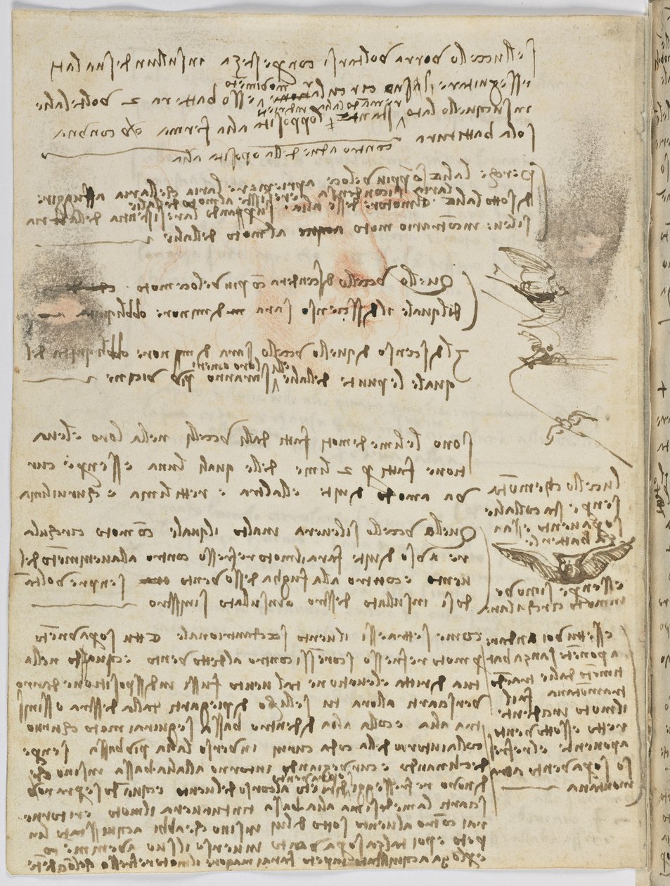 Letový kód ptáků, c. 1505-06, papírový rukopis, cc. 18, list 10 verso od Leonardo da Vinci