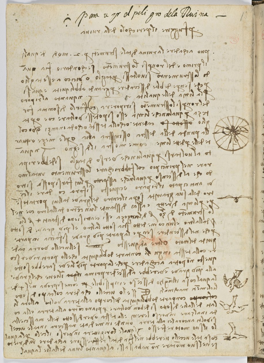 Letový kód ptáků, c. 1505-06, papírový rukopis, cc. 18, list 12 vzadu od Leonardo da Vinci