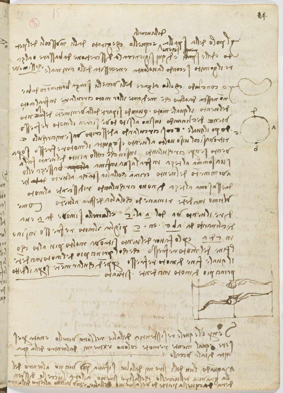 Letový kód ptáků, c. 1505-06, papírový rukopis, cc. 18, list 14 recto od Leonardo da Vinci