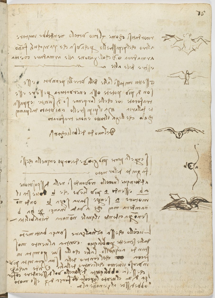 Letový kód ptáků, c. 1505-06, papírový rukopis, cc. 18, list 15 recto od Leonardo da Vinci