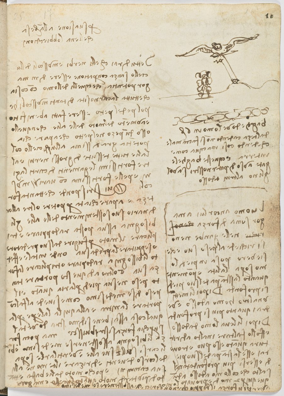 Letový kód ptáků, c. 1505-06, papírový rukopis, cc. 18, list 16 recto od Leonardo da Vinci