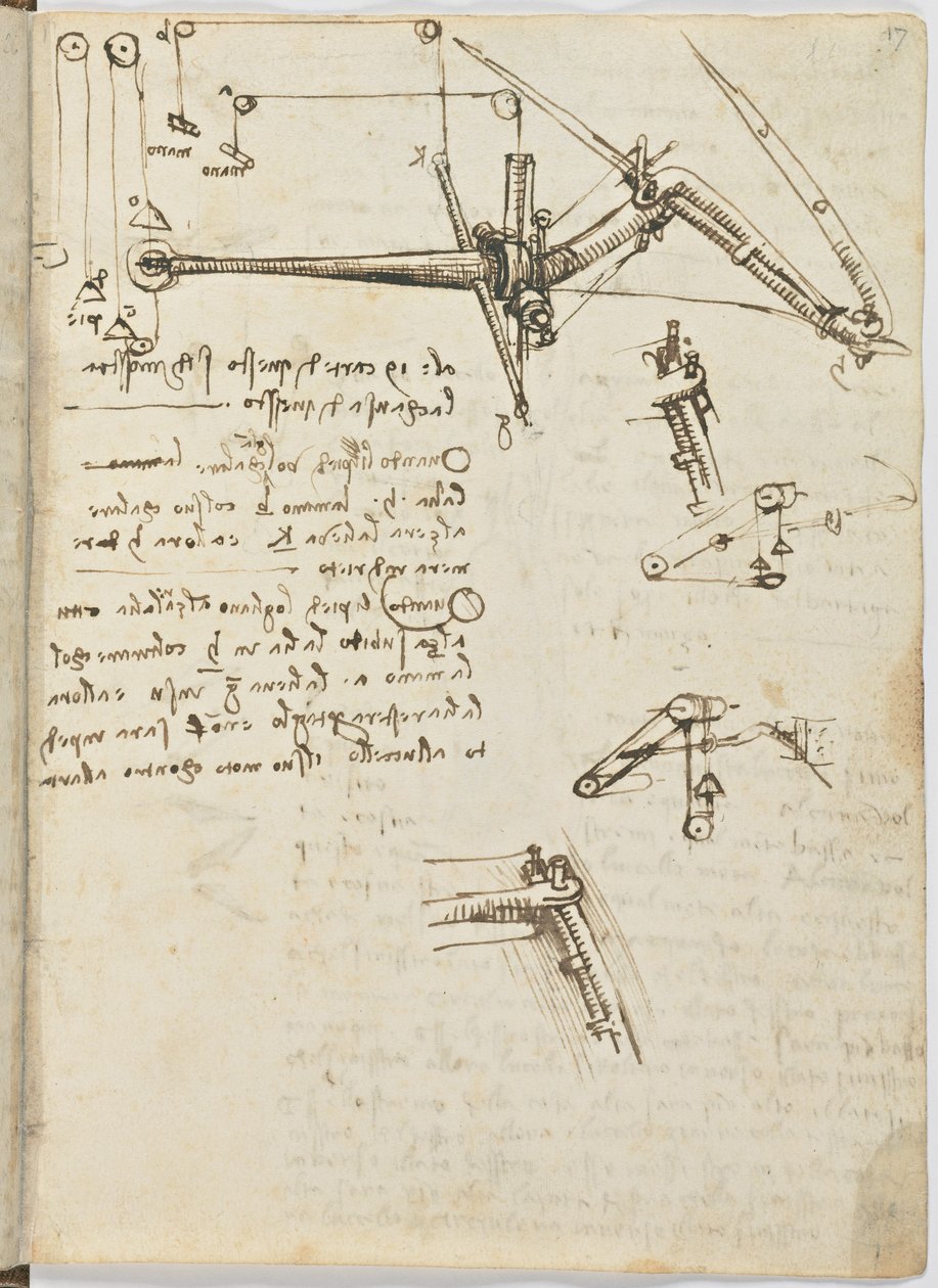 Letový kód ptáků, c. 1505-06, papírový rukopis, cc. 18, list 17 recto od Leonardo da Vinci