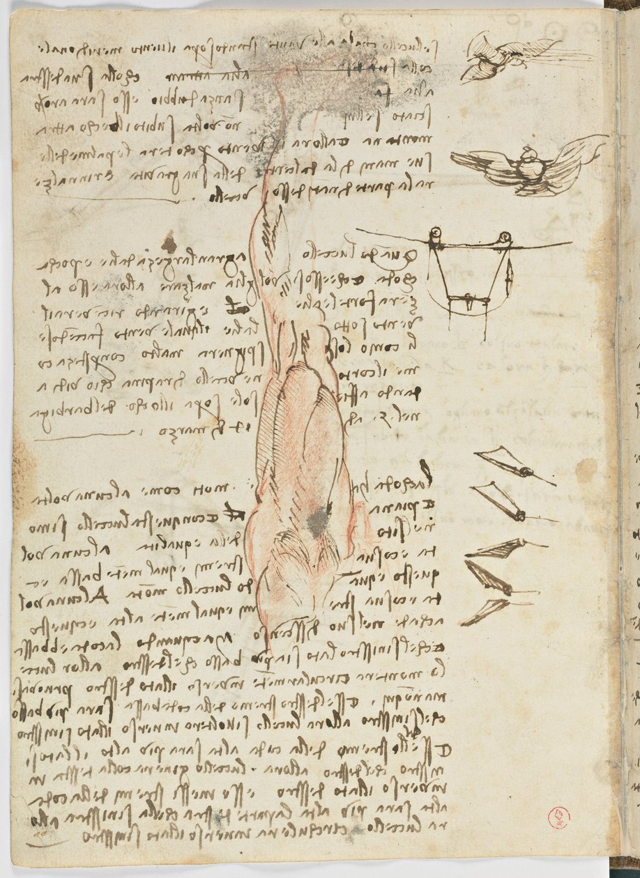 Letový kód ptáků, c. 1505-06, papírový rukopis, cc. 18, list 17 vzadu od Leonardo da Vinci