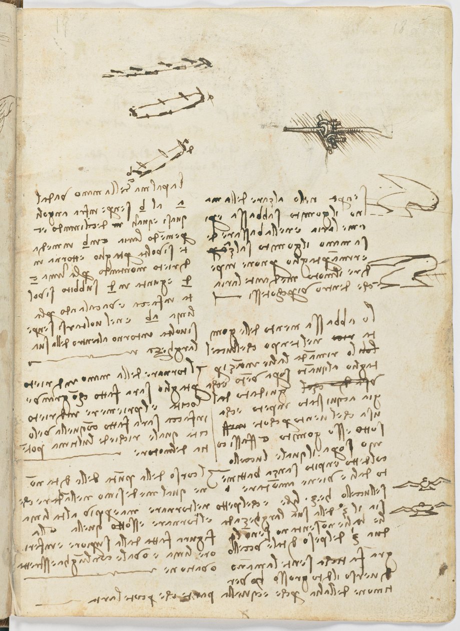 Letový kód ptáků, c. 1505-06, papírový rukopis, cc. 18, list 18 recto od Leonardo da Vinci