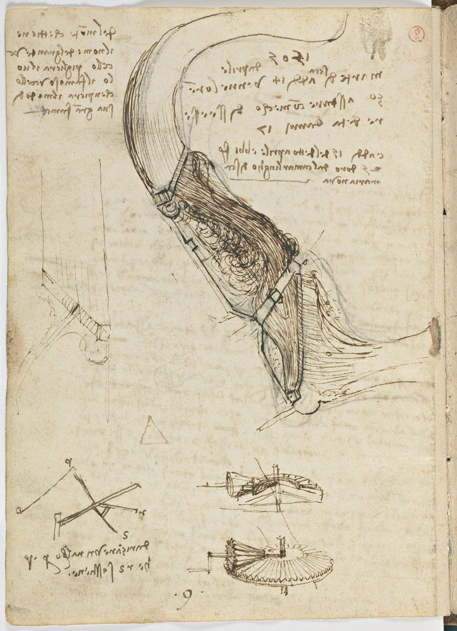 Letový kód ptáků, c. 1505-06, papírový rukopis, cc. 18, list 18 vzadu od Leonardo da Vinci